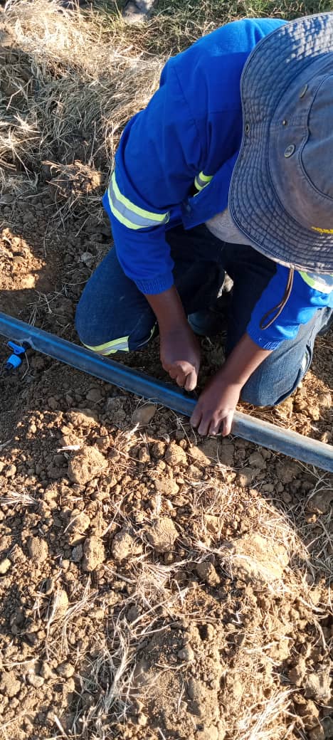 Irrigation 